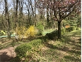Photo numero 46877131 du bien UBI466637447